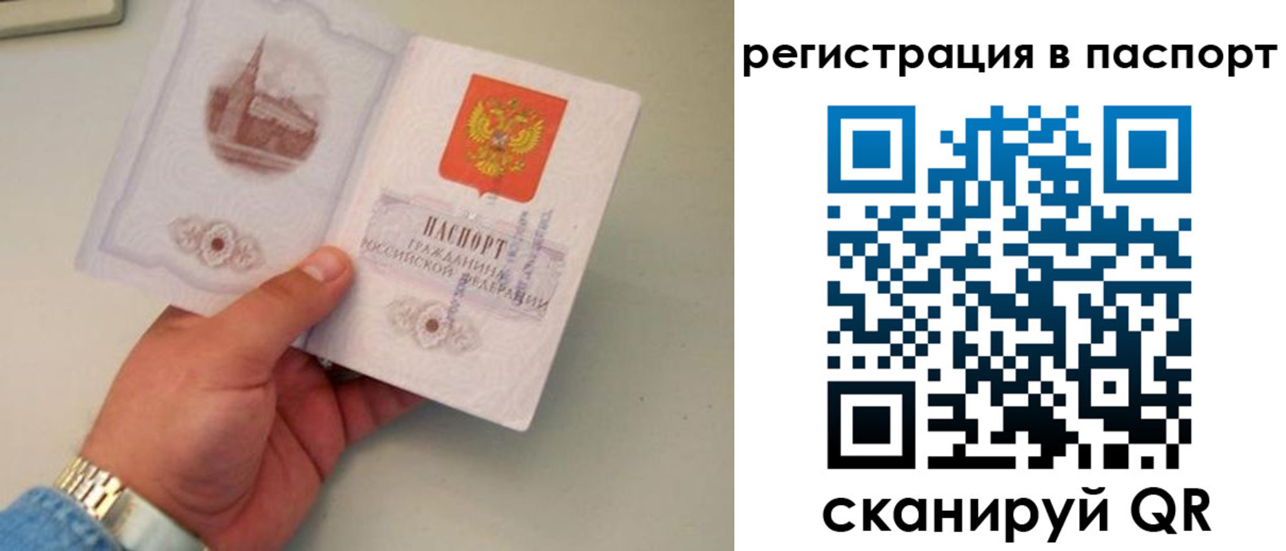 прописка от собственника в Дубне